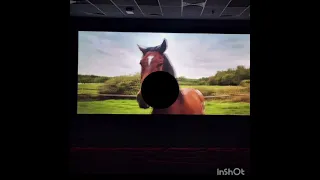 wir waren im kino und haben Ponyherz und Barbie geguckt