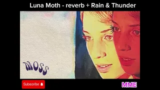 Luna Moth - Maya Hawke (Reverb + Rain & Thunder)