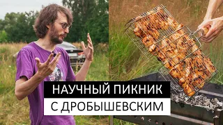 Научный пикник с Дробышевским. В чем секрет развитых обществ