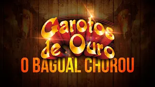 GAROTOS DE OURO | O BAGUAL CHOROU [AO VIVO]