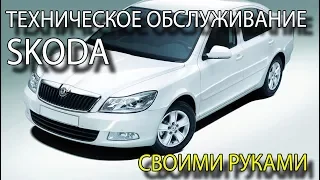 Техническое обслуживание автомобиля своими руками ТО Skoda Octavia своими руками