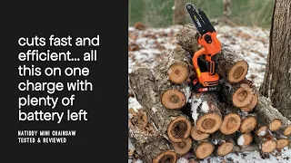 REVIEW: The 4th and Best Mini Chainsaw I've Tested So Far