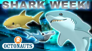 @Octonauts -  🦈😺 Who Loves Sharks? | SHARK WEEK Special! 🦈😱 | 90 Mins+ Compilation