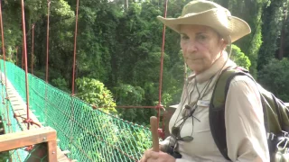 Borneo   Danum Valley   Borneo Rainforest Lodge #6 Rain Forest Trecking   13 May 2017