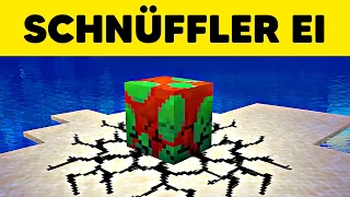 Wir prüfen die größten MYSTERIEN in MINECRAFT!