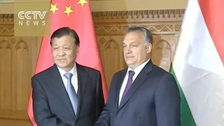 Senior Chinese official Liu Yunshan seeks stronger ties with Hungary