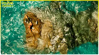 Deserted On A Spit Of Land | The Shallows | Creature Features
