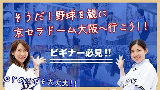 【ビギナー向け】『京セラドーム大阪』観戦の楽しみ方！