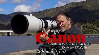 Malibu Lagoon at 1200mm F8 - is it overkill? Canon EOS R5, EF 600mm f/4L IS III Lens and  EF 2X III