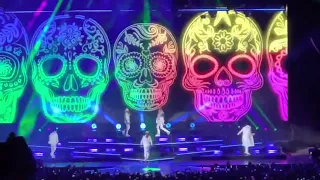 BSB - Live in West Palm Beach - EVERYBODY- DNA WORLD TOUR