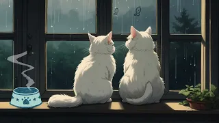 Catwo Lofi's Raining Serenity 5 😸| Cats & Calm Beats for Study and Relaxation