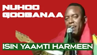 Best Oromo Music Collection | New Oromo Music HD Timeless Oromo Music | Sirba Qabsoo | Oromo Pride