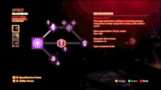 Dragon Age 2: Primal Spirit Force Mage Guide