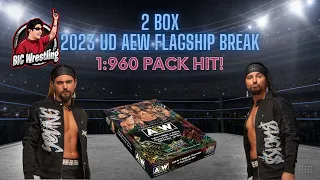 2 Box 2023 UD AEW Break - 1:960 Pack Hit!