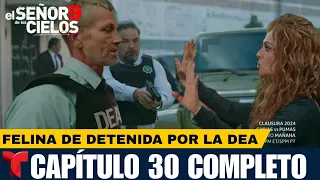 El Señor De Los Cielos 9 Capítulo 30 Completo | Felina Es Detenida Por La DEA