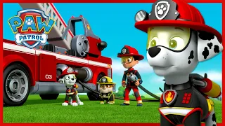 Marshall's Best Animal Rescue Moments +More Paw Patrol | Cartoons for Kids