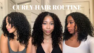 2023 CURLY HAIR ROUTINE | RAKE AND SHAKE METHOD