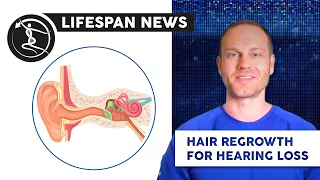 Hair Regrowth Tech Could Reverse Age-Related Hearing Loss | Lifespan News