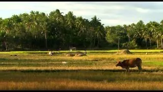 Die neuen Paradise: Philippinen Unbekannter Archipel