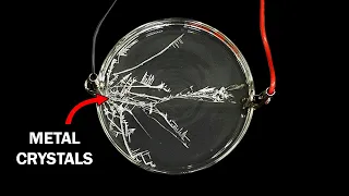 Using electricity to grow metal crystals