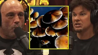 Joe & Theo: "I Had A Revelation On Mushrooms the Other Night"