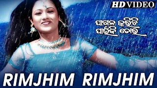 RIMJHIM RIMJHIM | Romantic Film Song I PAGALA KARICHI PAUNJI TORA | Sarthak Music | Sidharth TV