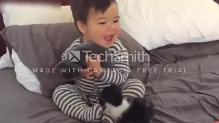 * FUNNY CATS AND BABIES PLAYING TOGETHER القطط مضحك مع الاطفال#