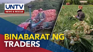 Anihan ng sibuyas sa Nueva Ecija, simula na pero presyo nito, binabarat umano ng traders