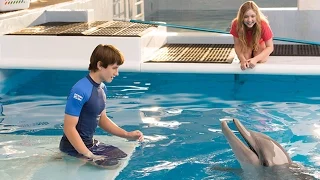Dolphin Tale 2 Review