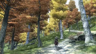 A Nostalgic Journey Across Cyrodiil