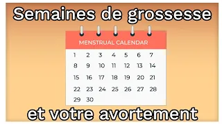 Les semaines de grossesse (gestation) et vos options d'avortement | Ami explique l'avortement