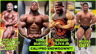 Can Tonio BEAT Sergio?? Nico Stallone 2nd @ FIBO..What Happened? - Jang Sung Yeop 5 weeks OUT!