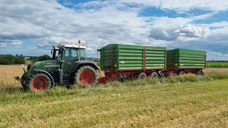 Fendt 712 vs 28 ton zboża! Ostatnie pole jęczmienia jarego 😁