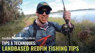 Landbased Redfin Perch Fishing Tips - Fishing Soft Plastics