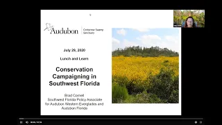 Corkscrew Swamp Sanctuary Lunch and Learn: Conservation Campaigning