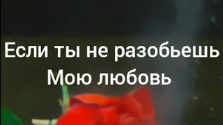 ||| ТЫ МОЯ ЖИЗНЬ |||