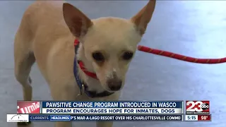 Marley's Mutts spreading Pawsitive Change program to Wasco State Prison