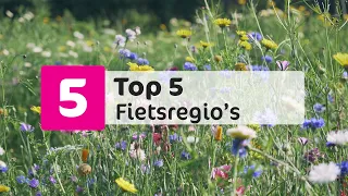 Top 5: Fietsregio's in Nederland | Voordeeluitjes.nl