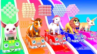 Long Slide Game With Duck, Cow, Chicken, Kangaroo, Giraffe, Lion - 3d Animal Game - Wild Animals