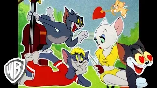 Tom y Jerry en Latino | La serenata de Tom | WB Kids