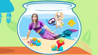 MILENINHA VIROU SEREIA NA PISCINA BRINCANDO COM A CACHORRINHA BELINHA