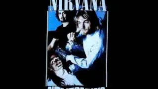 nirvana - in bloom