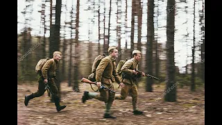 In the Frontline Forest | В лесу прифронтовом  - Soviet WW2 song