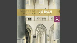 Wer nur den lieben Gott lässt walten, BWV 93: No. 3, Aria. "Man halte nur ein wenig stille"