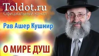 Рав Ашер Кушнир. О Мире Душ. ДЕРЕХ АШЕМ 17