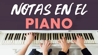 Las Notas En El Piano - Mini Clase De Piano #1 👨‍🏫