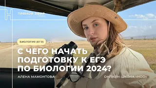 C ЧЕГО НАЧАТЬ ПОДГОТОВКУ? | ЕГЭ БИОЛОГИЯ 2024 | НОО