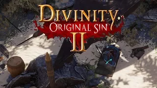 The Dreamer - Divinity Original Sin II – Part 13