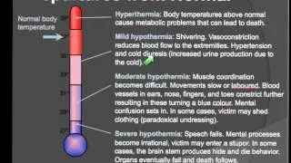 Thermoregulation