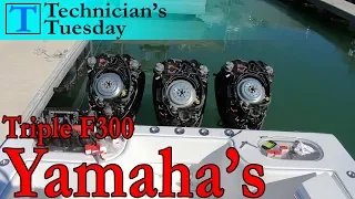 Servicing Triple 300 Yamaha Outboards! | Technicians Tuesday